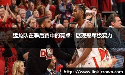 皇冠体育crown平台