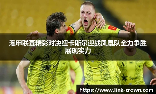 澳甲联赛精彩对决纽卡斯尔迎战凤凰队全力争胜展现实力
